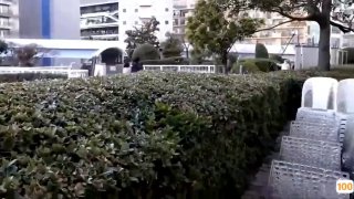 欧美白左_欧美亚洲精品成人视频